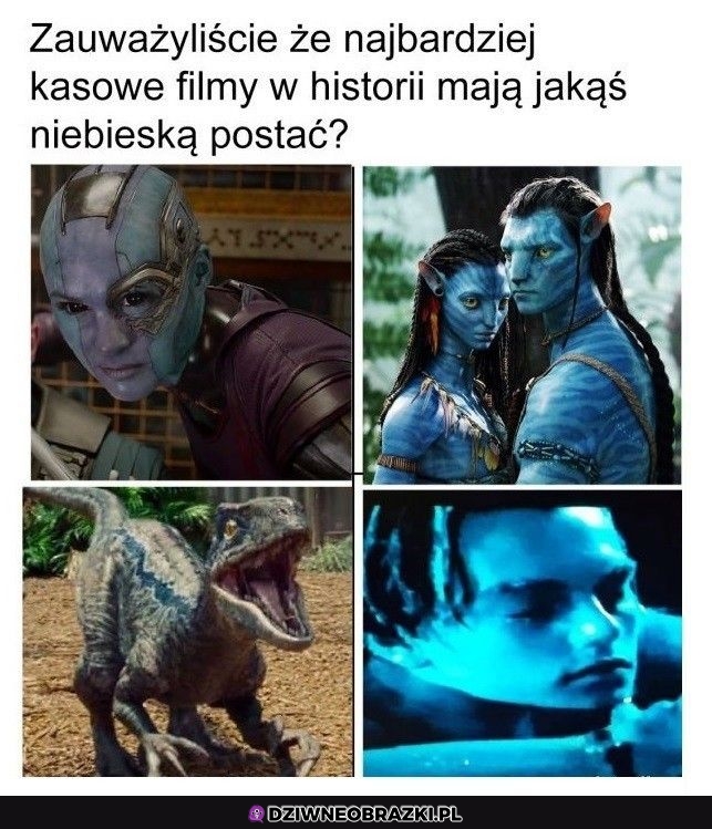 Musi być jeden niebieski