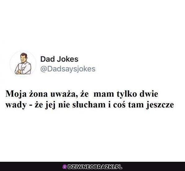 Dwie wady