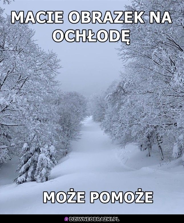 Trzymajcie się tam