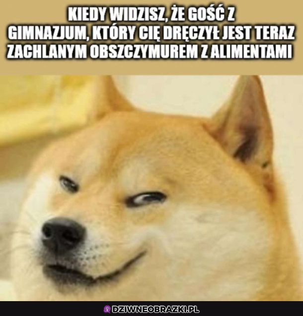 Było warto