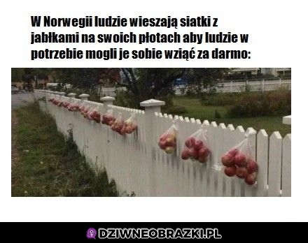 Tak trzeba żyć