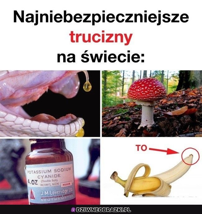 Straszne trucizny