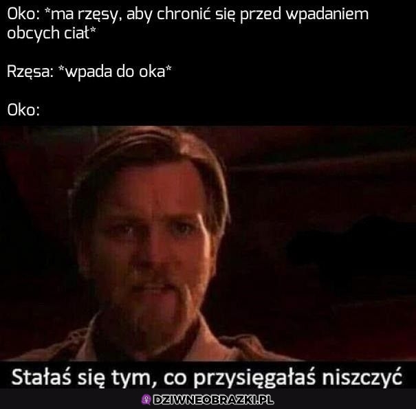 Ten moment