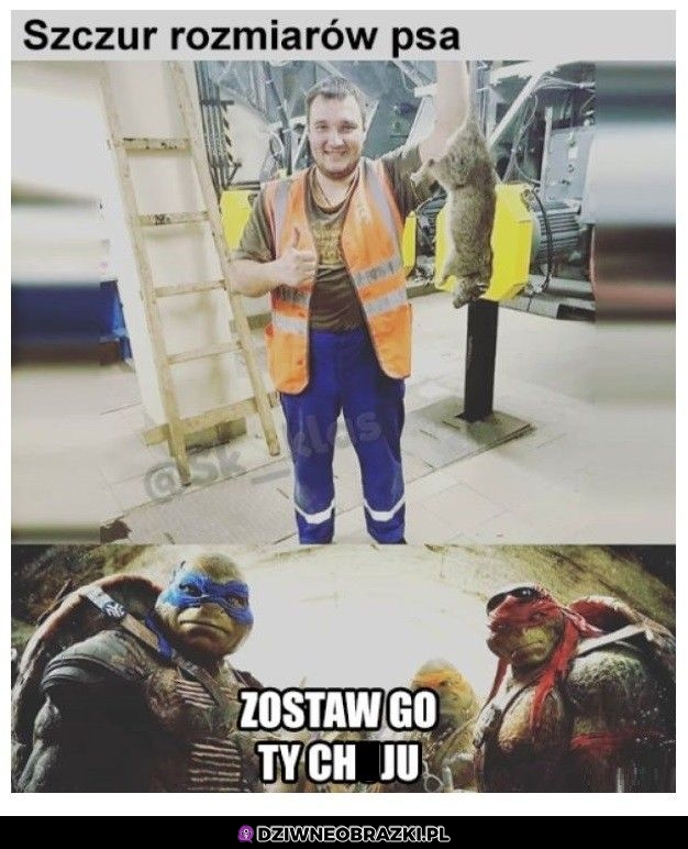 Zostaw go!