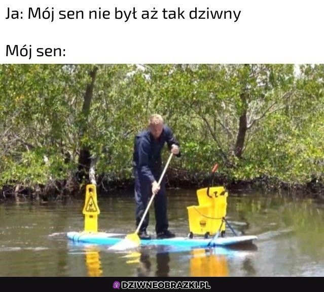 Wszystko w normie