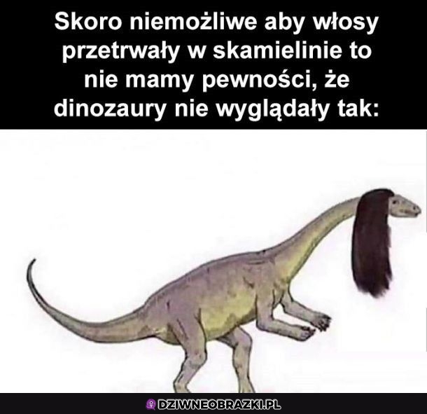 Mogło tak być