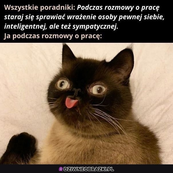 To właśnie ja
