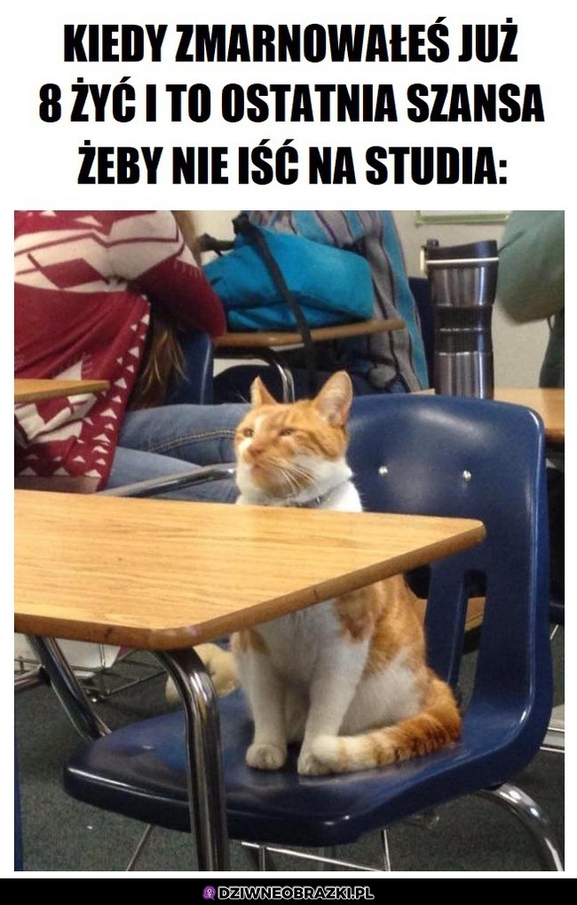 Tym razem zrobi to dla mamy