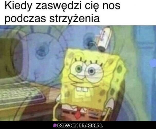 Ten moment
