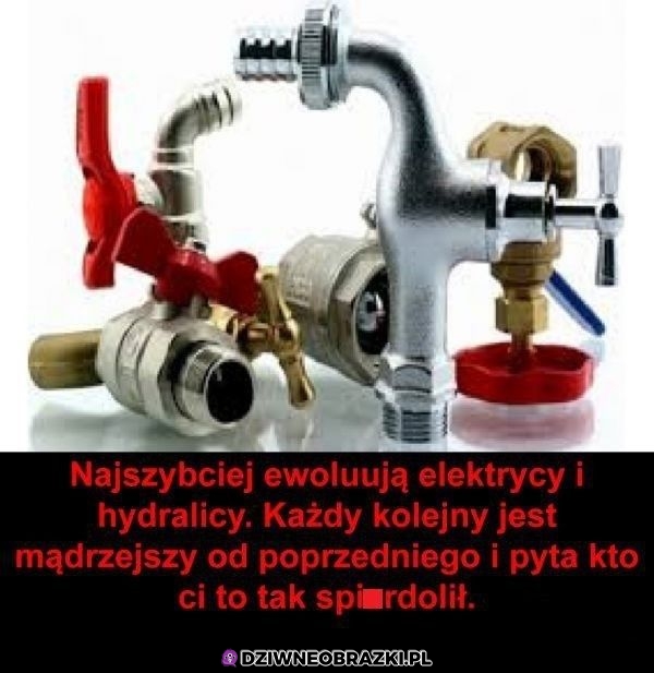Najszybsza ewolucja
