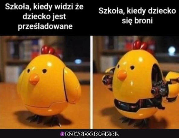 Szkoły takie są