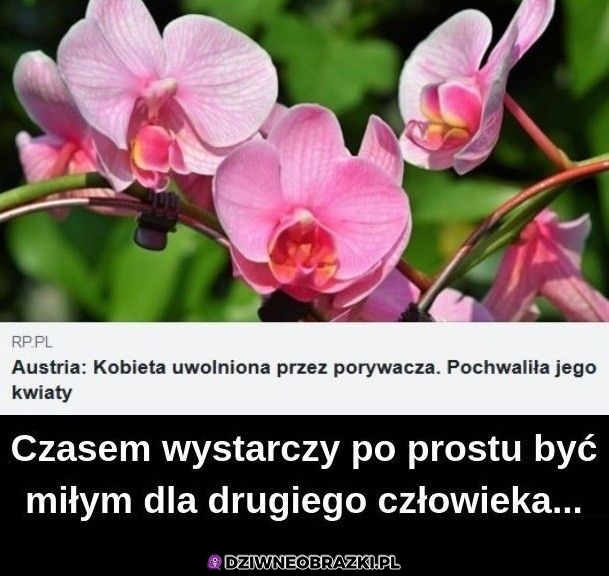 Łatwo jej poszło