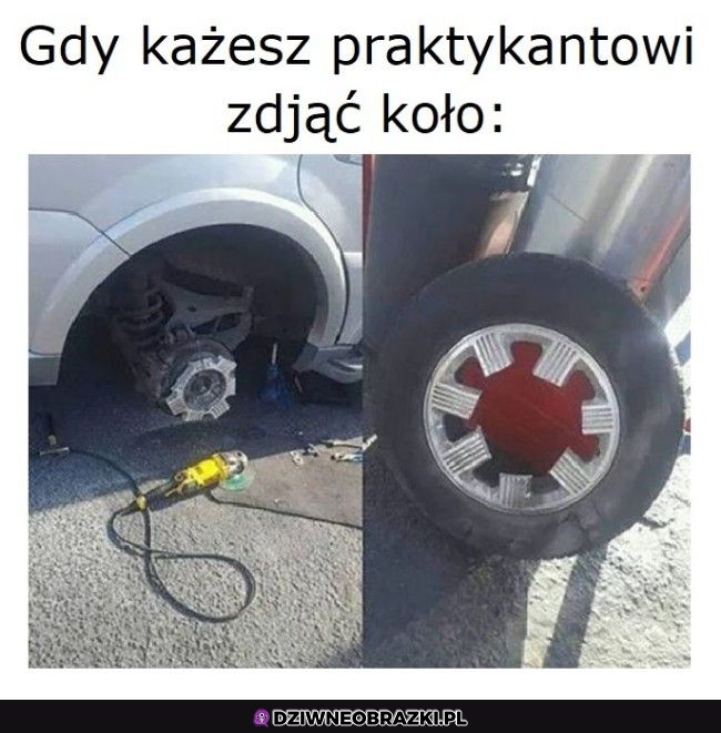 Praktykant