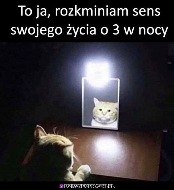 Rozkmina