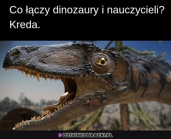 Co ich łączy?