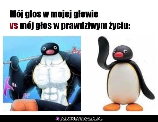 Mój głos