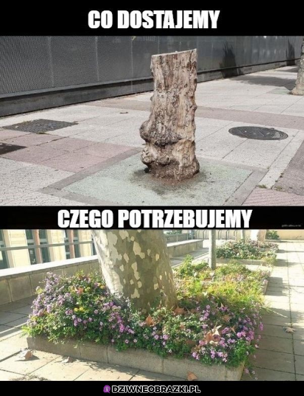 Właśnie, co jest