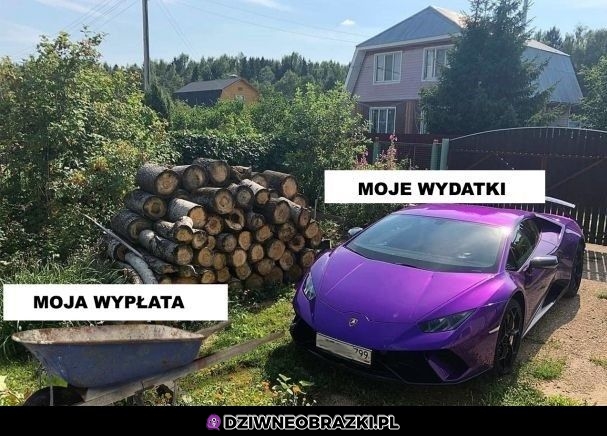 No niestety