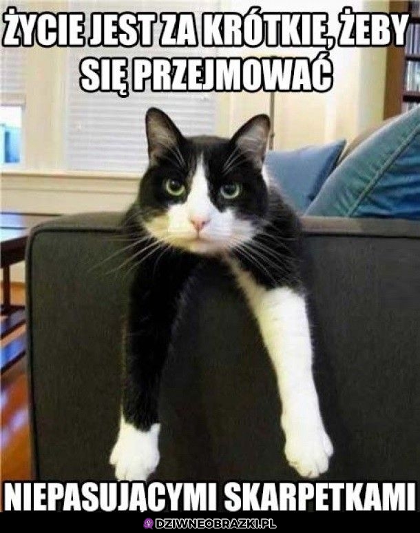 Właśnie