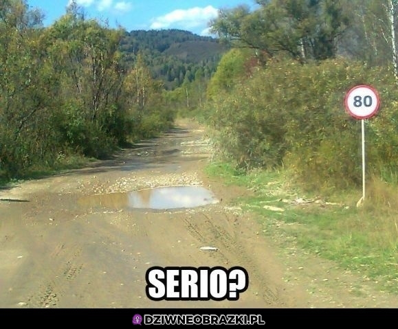 Ograniczenie