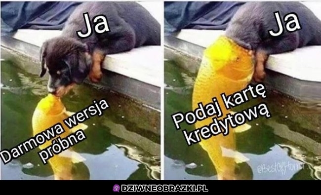 Tak to widzę