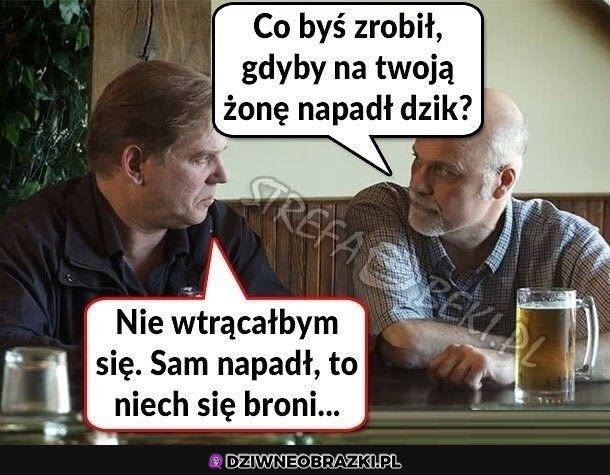 Dokładnie to