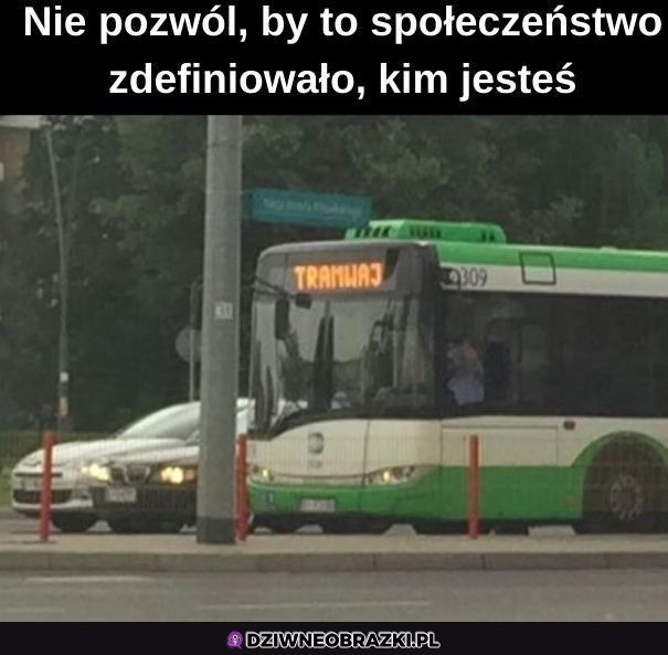 Pracuje pod przykrywką