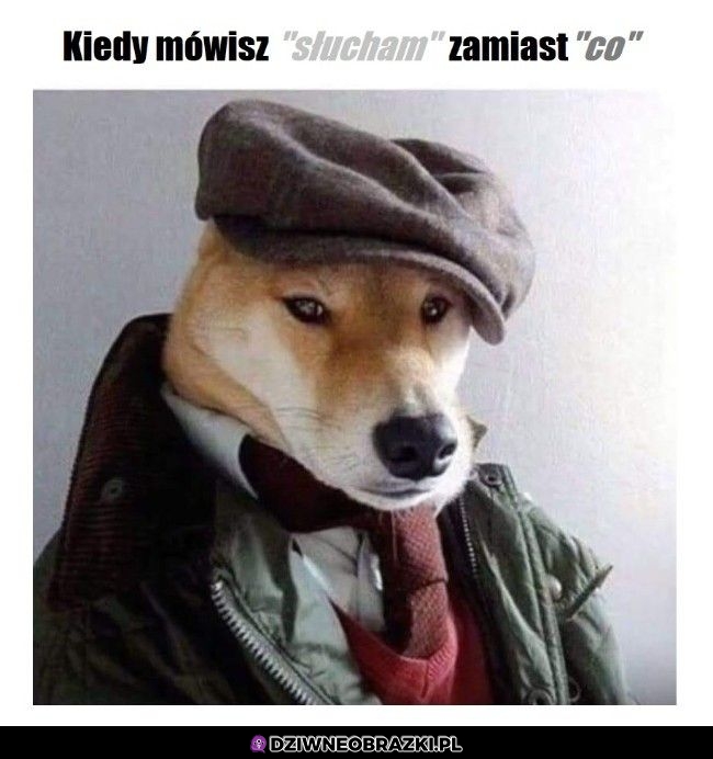 Słucham?
