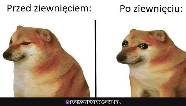 Zawsze