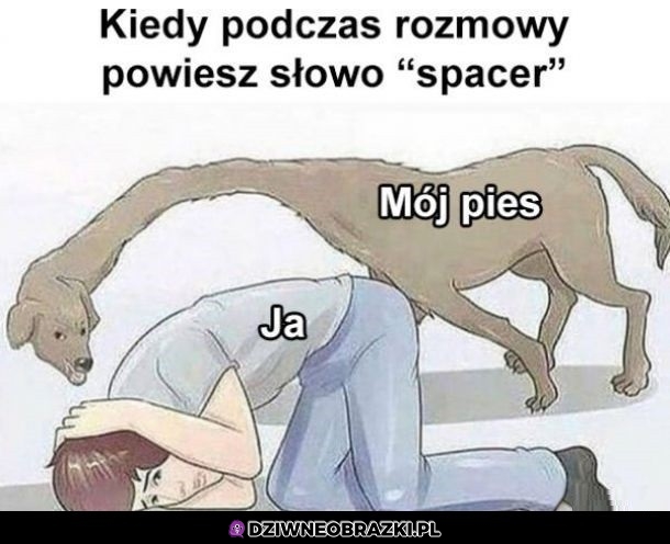 Spacer