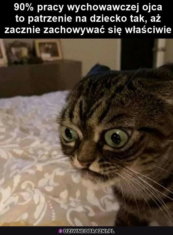 Ciężki zawód