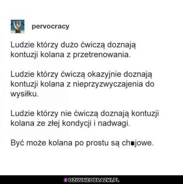 Wszystko przez te kolana