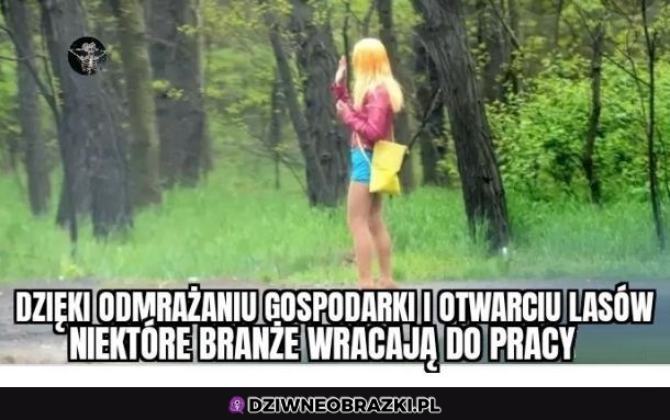 Dziękujemy!