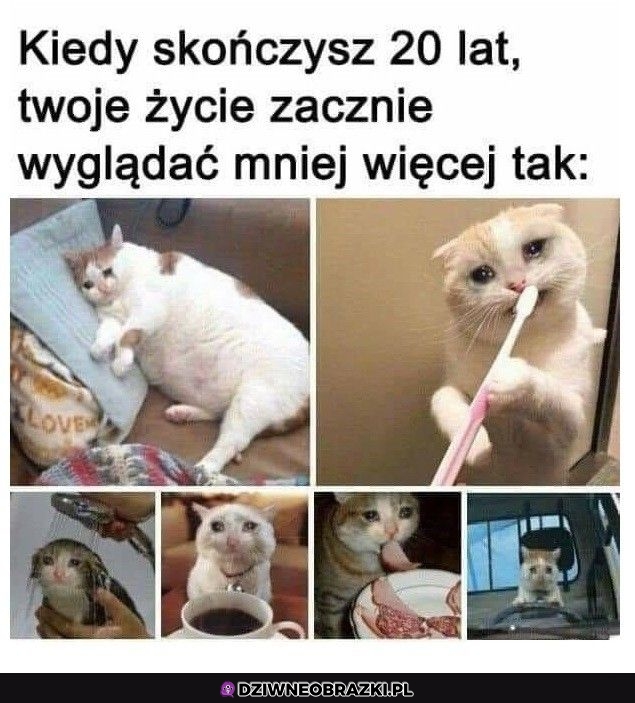 Tak to się zmienia