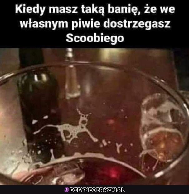 Też go widzę