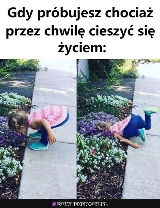 Ten moment