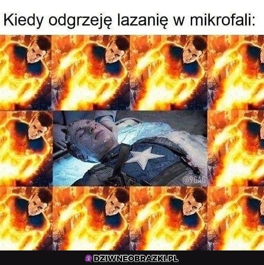 Odgrzewana lazania