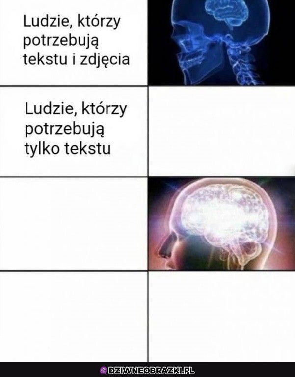 Zrozumienie memów