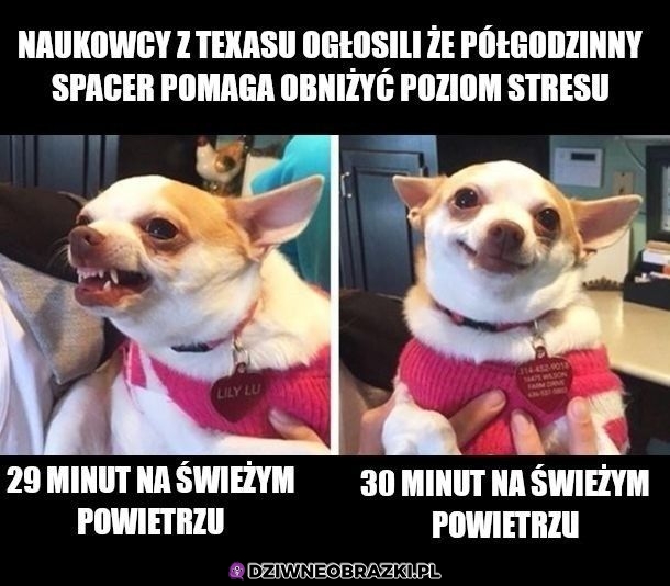 30 minut spaceru