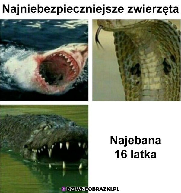 Największe zagrożenie