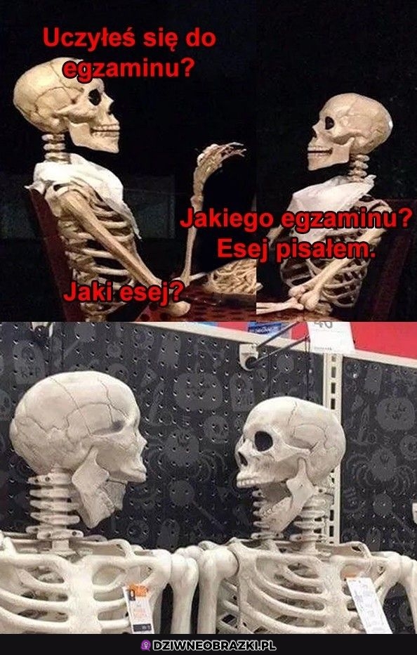 Studenty