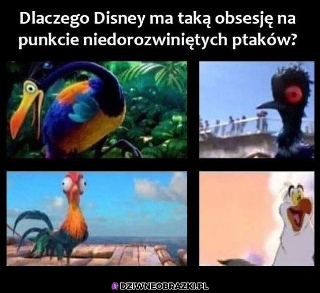 Disney i ptaki