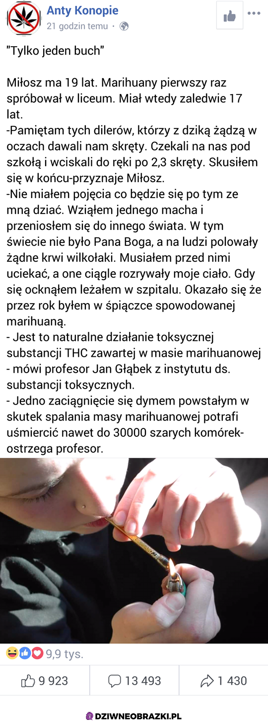 Co za dzika akcja 