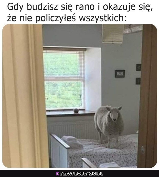 Źle policzyłeś