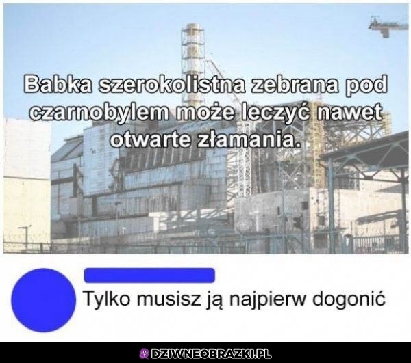 Najlepsze lekarstwo
