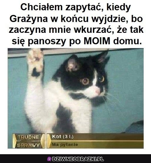 Ważne pytanie