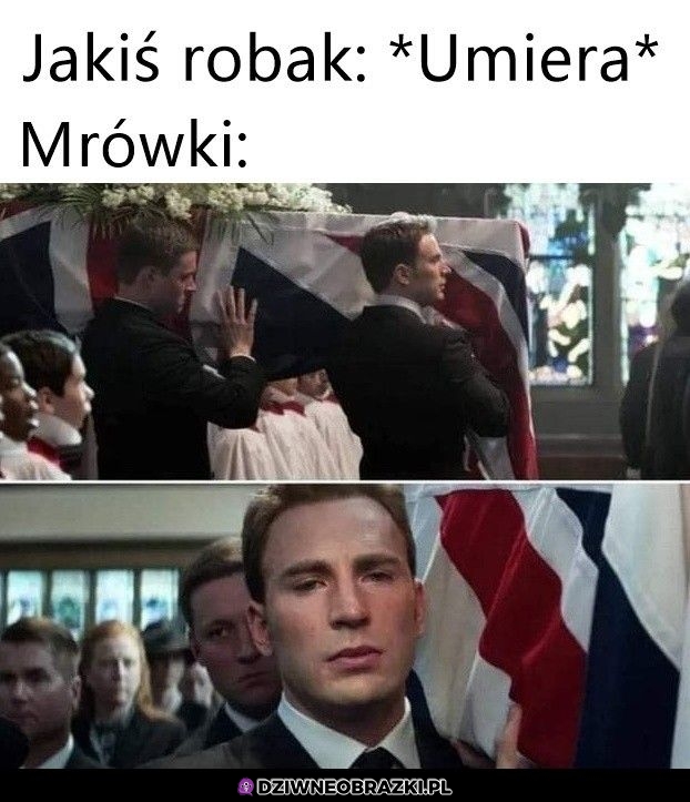 Tak to działa