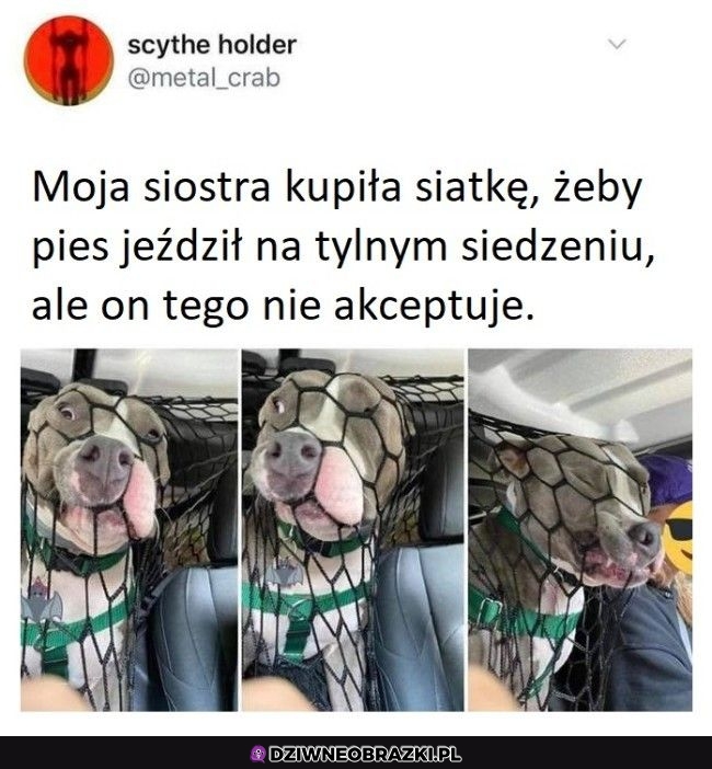 Nie spodobała się