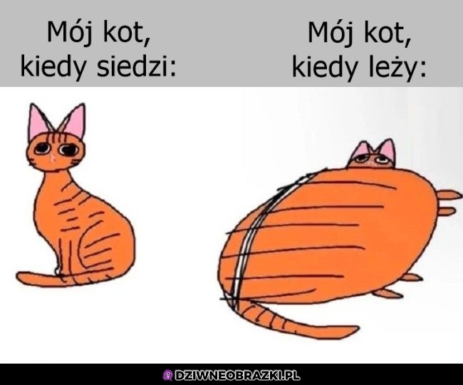 Mój też tak ma