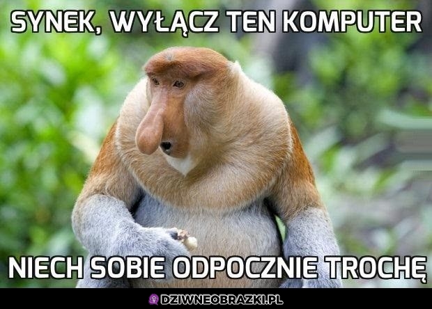 Wyłącz go synek